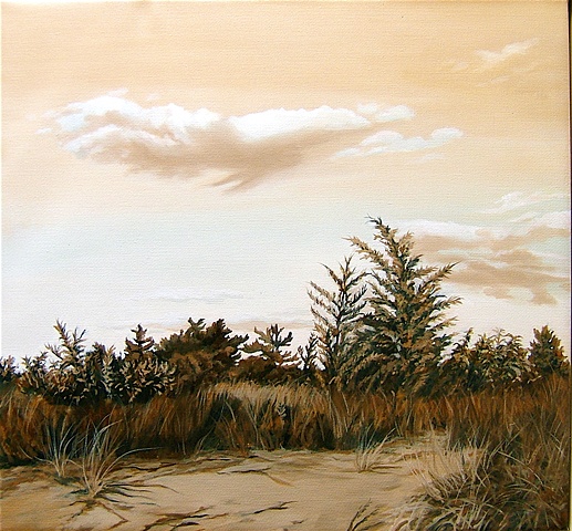 Sunken Meadow Dunes