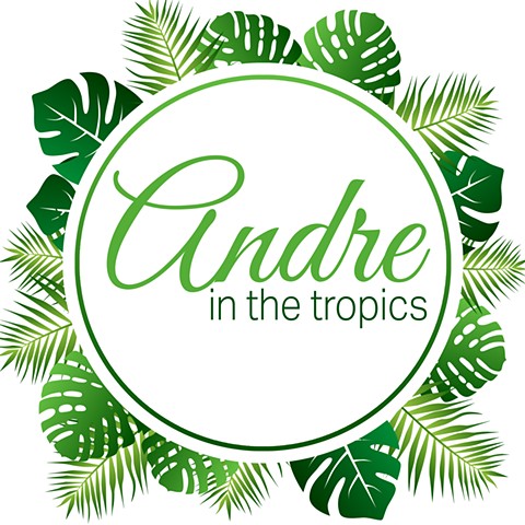 Andre in the Tropics Logo