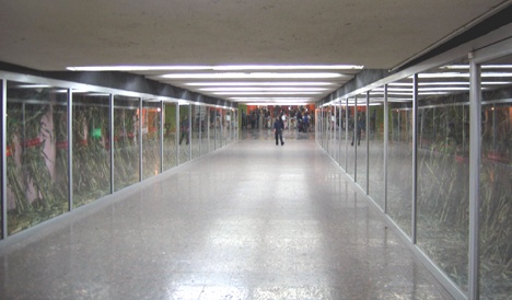 Installation View, Metro Alameda, Center Corridor