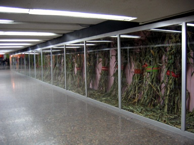 Installation View, Metro Alameda, Right Side