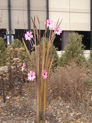 Six Pink Flowers for Melrose Institute 