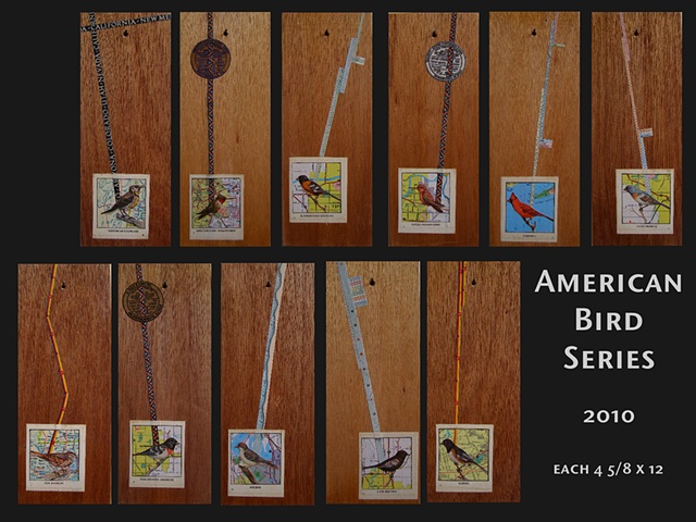 american bird series