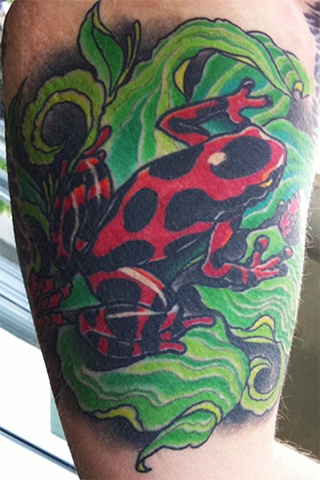 frog tattoo by Custom tattoos by Adam Sky, San Francisco, California