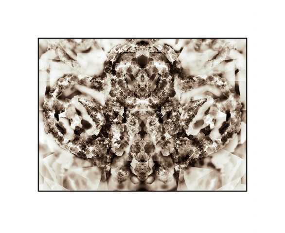 Crystal Rorschach Specimen (No. 4)