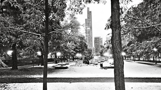 Grant Park After Fresh Snow