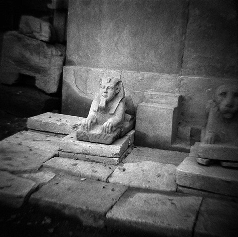 Sphinx, Luxor Temple, Luxor