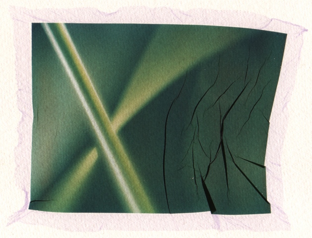 Detail 1, Grass