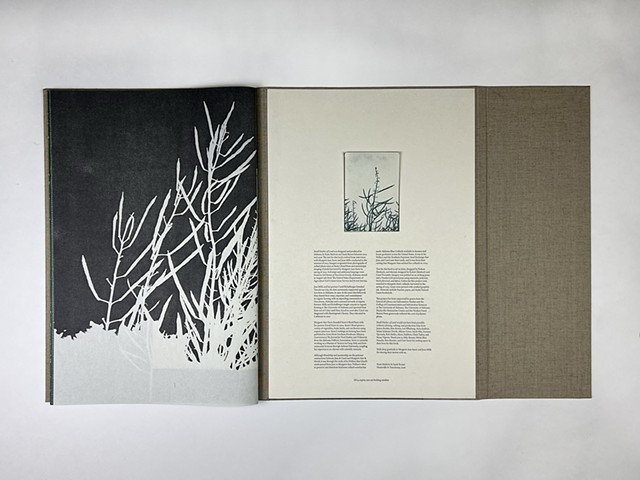 Small Patches of Land