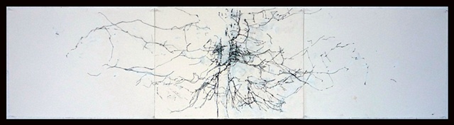 Chautauqua Tree (Sensory Neuron)