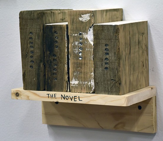 The Shelf of The Novel