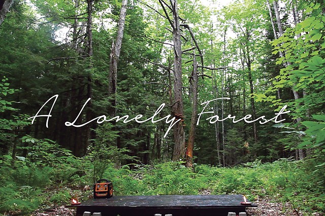 IHNW: A Lonely Forest