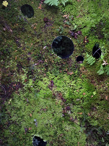 Forest Floor with Mirrors