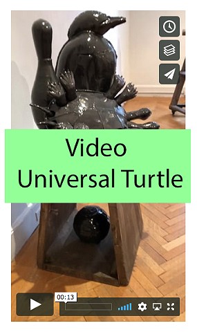 Video of Universal Turtle