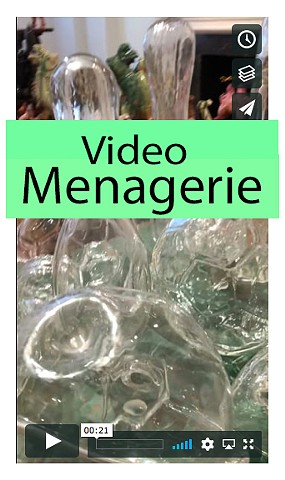 Video of 
Menagerie