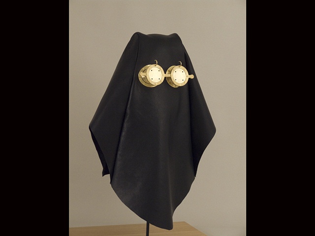 leather and brass hood sculpture