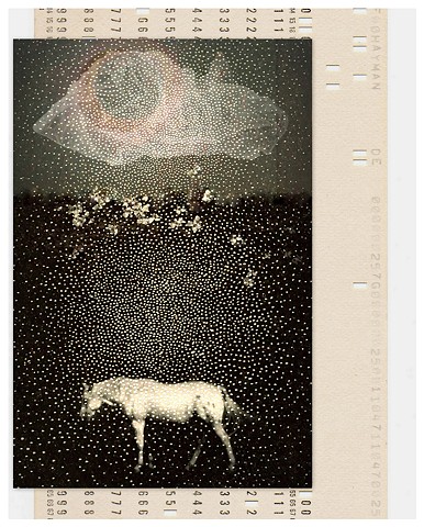 Linda Plaisted Multi-disciplinary Artist