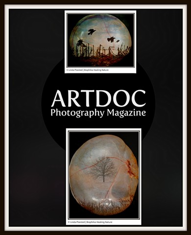 October 2023- ArtDoc Magazine- Healing Nature