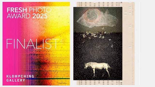 Linda Plaisted Multi-disciplinary Artist