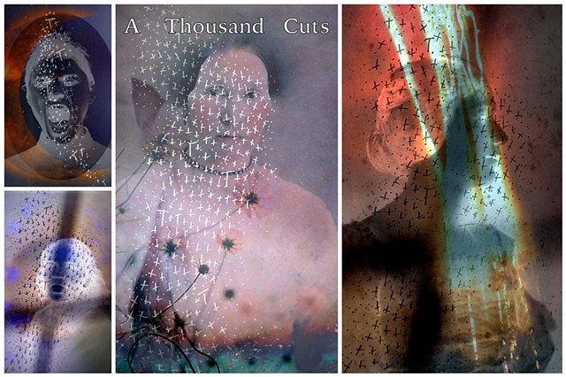 Linda Plaisted Multi-disciplinary Artist