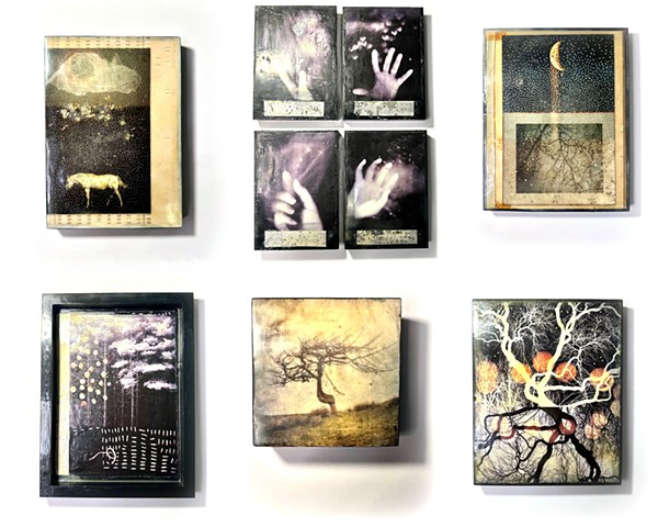 Linda Plaisted Multi-disciplinary Artist