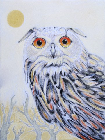 Drawing of Dimitri a Eurasion Eagle Owl from the Cascades Raptor Center in Eugene, Oregon