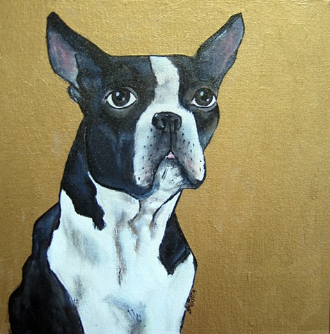 Boston Terrier Portrait on Gold
Private Collection  