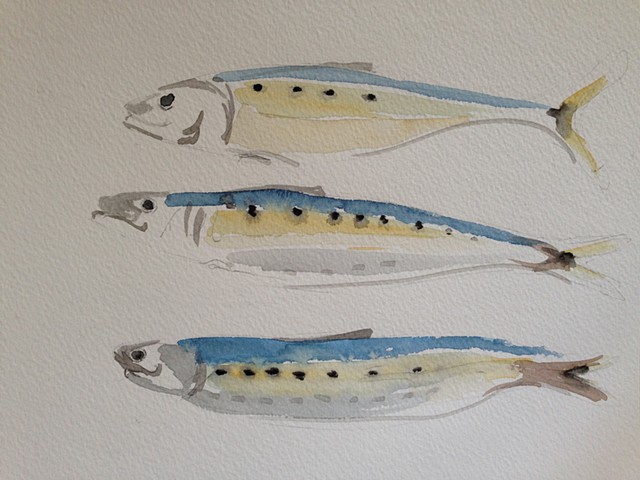 3 Sardines