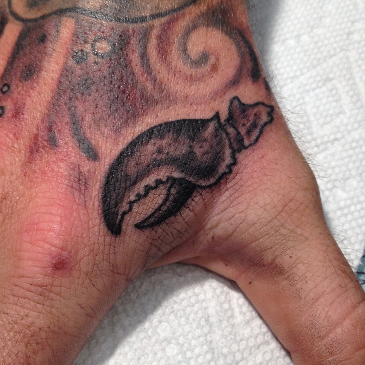 Cape Cod Tattoo Ideas Part - 36: Lobster Claw Tattoo, Black And Grey Tattoo, Provincetown Tattoo, Cape Cod Tattoo,