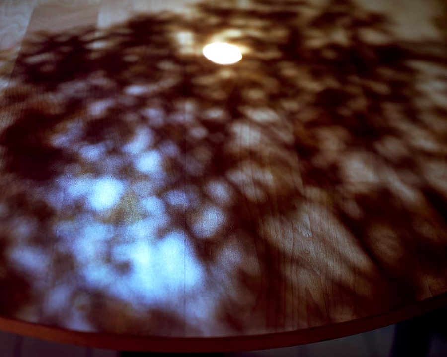 The Sun Shining Through Trees on our Kitchen Table