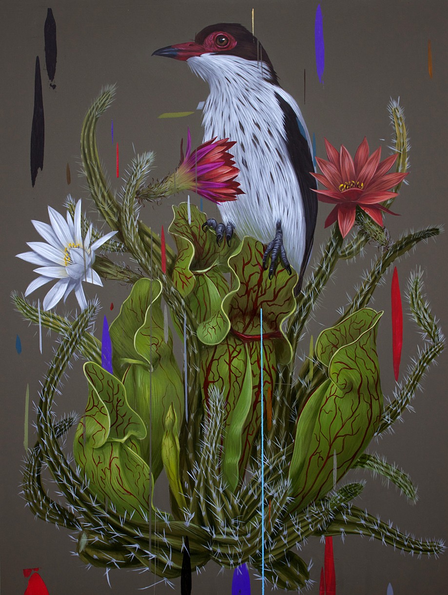 Gonzales |Birds Paintings 