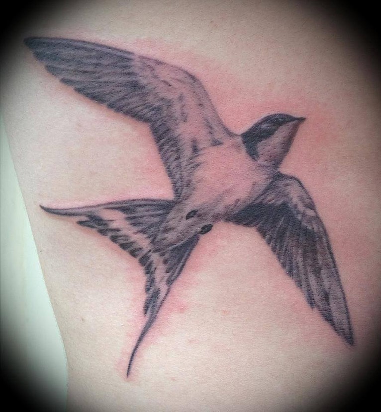 Barn Swallow Tattoos 83