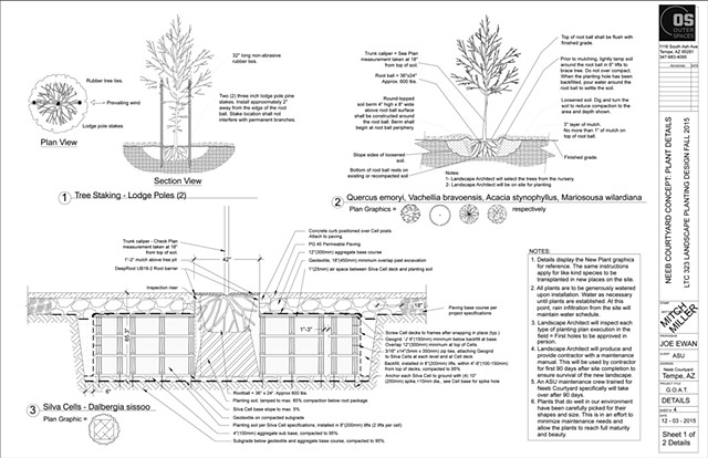 Plant Design Details