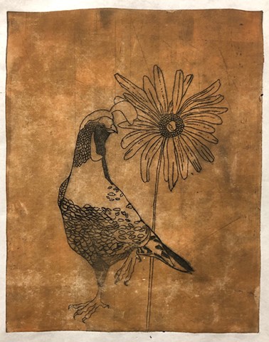 Quail Print 1