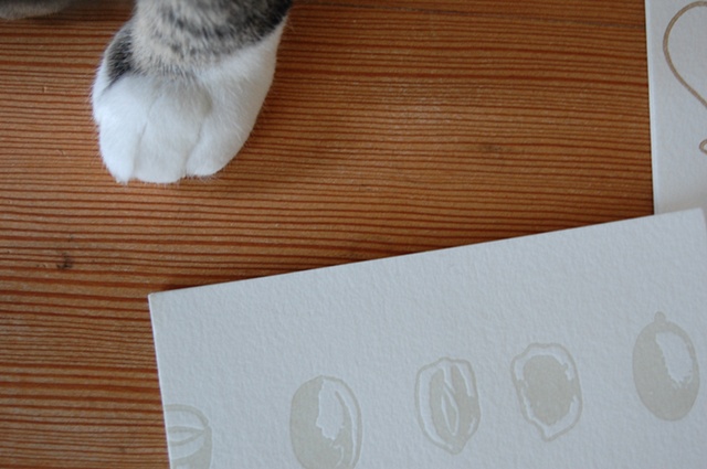 pod cards