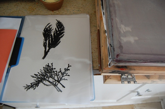 images for the workshop