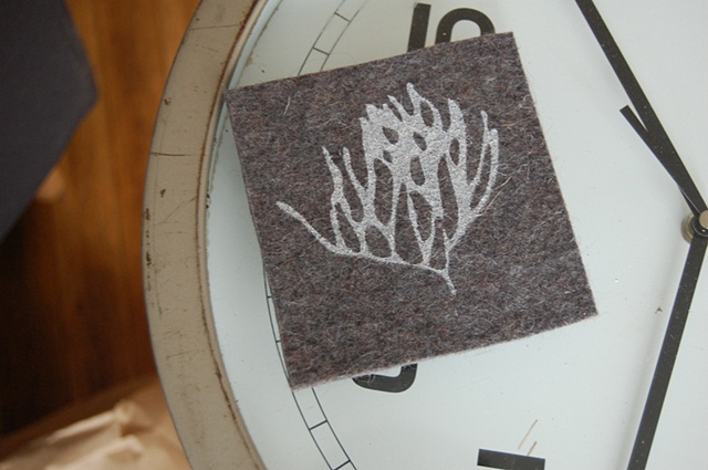 coaster on display