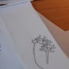 sketching