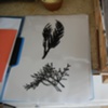 images for the workshop