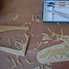 linocut experiment