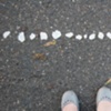 on the street