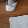 pod cards