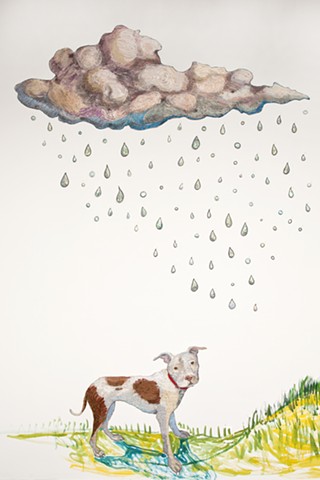 Daisy, Memory Cloud with Raindrops