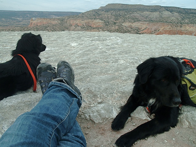 Ghost Ranch Dogs