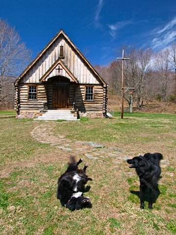 Log Church Dogs