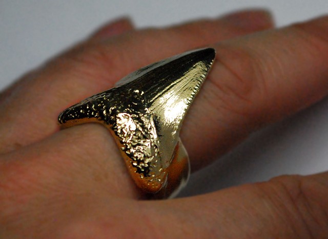 giant gold shark tooth ring.Jewelry by Jennifer Tull Westberg