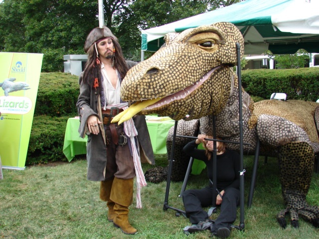 Komodo Dragon Puppet with Pirate