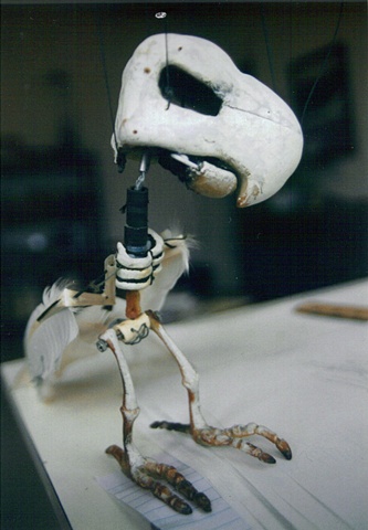 Parrot Puppet Skeleton