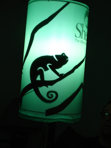 Lizard Shadow Puppet Lantern