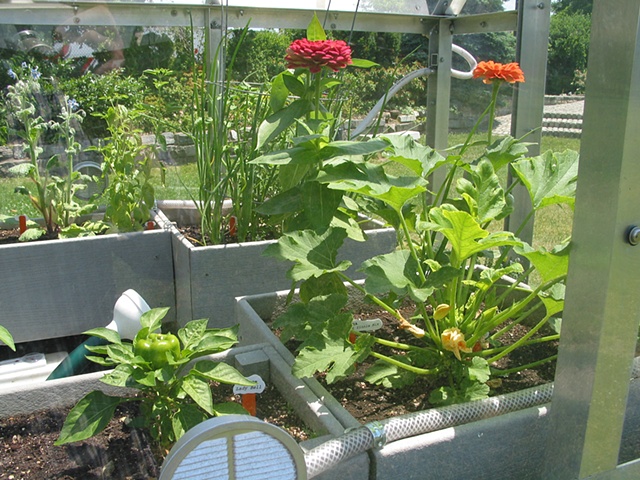 Migratory Greenhouse