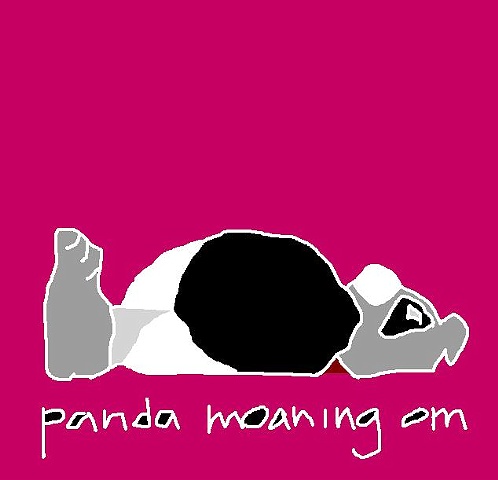 panda moaning om 